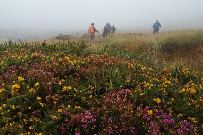 Bog Safari Hike - Biodiversity, climate change, and green energy