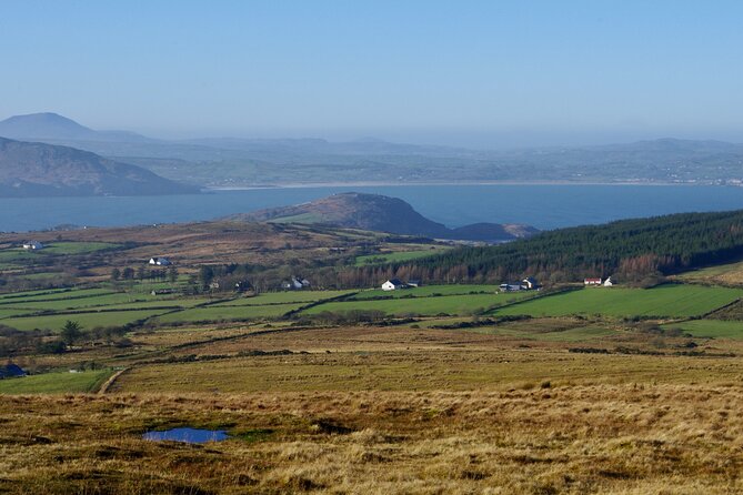 Bog Safari Hike - Starting at Ballyannon and meeting your guide