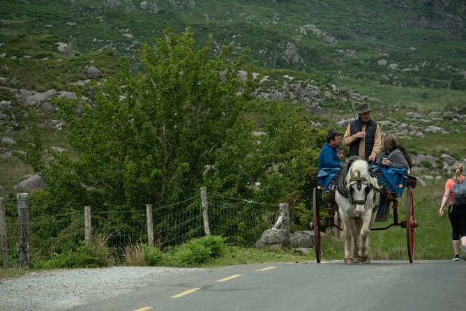 Bus, Boat & Jaunting Cart Tour (Jaunting Cart Paid Separately) - Weather decides how much you enjoy the day