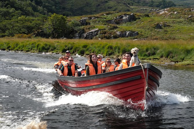 Bus & Boat Tour - Ross Castle and the 11am boat departure