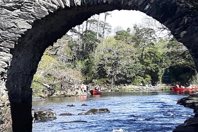 Bus & Boat Tour - The boat journey: a calmer view of Killarney