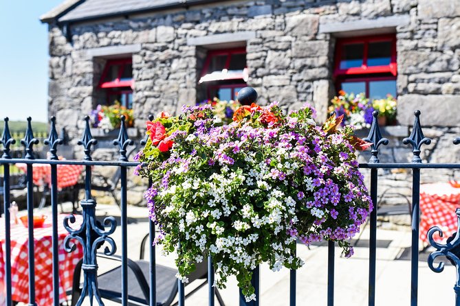 Caherconnell Fort & Sheepdog Demonstrations - What the sheepdog demonstration actually shows