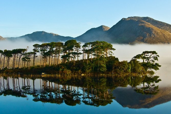 Castles of Connemara tour departing Galway city. Guided. Full day - Clifden Castle: impressive ruins, not a palace visit