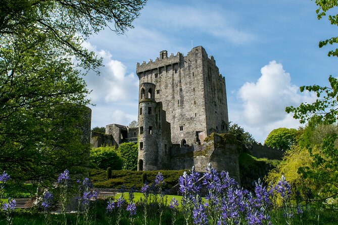 Chauffeur Blarney and Cork Private Day Tour from Dublin - What this 11-hour southern Ireland route is really like