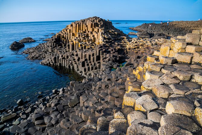 Chauffeur Giants Causeway & Belfast Private Day Tour From Dublin - The Dark Hedges: a quick stop beneath famous beech trees