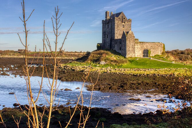 Chauffeur Private Cliffs of Moher Day tour from Dublin - Guides, vehicles, and the human side