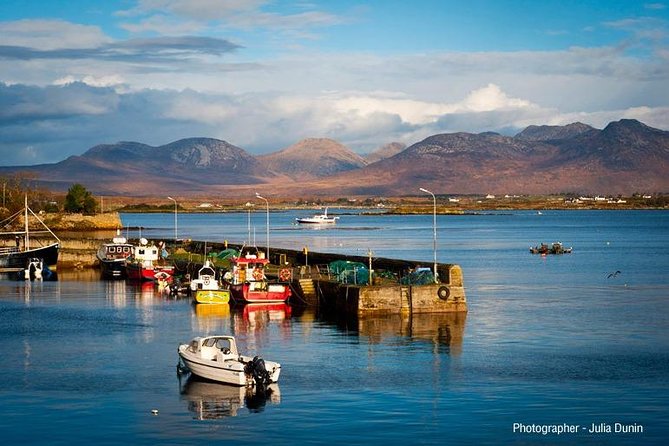 Chauffeur Tours from Galway - Who should book this private tour