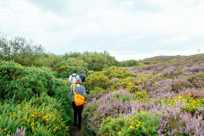 City Explorer: Howth Private Day Trip - Leaving Dublin for a more personal Howth day