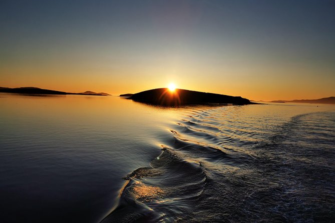 Clew Bay Cruise, Westport ( 90 minutes ) - The Seal Colony Is the Payoff