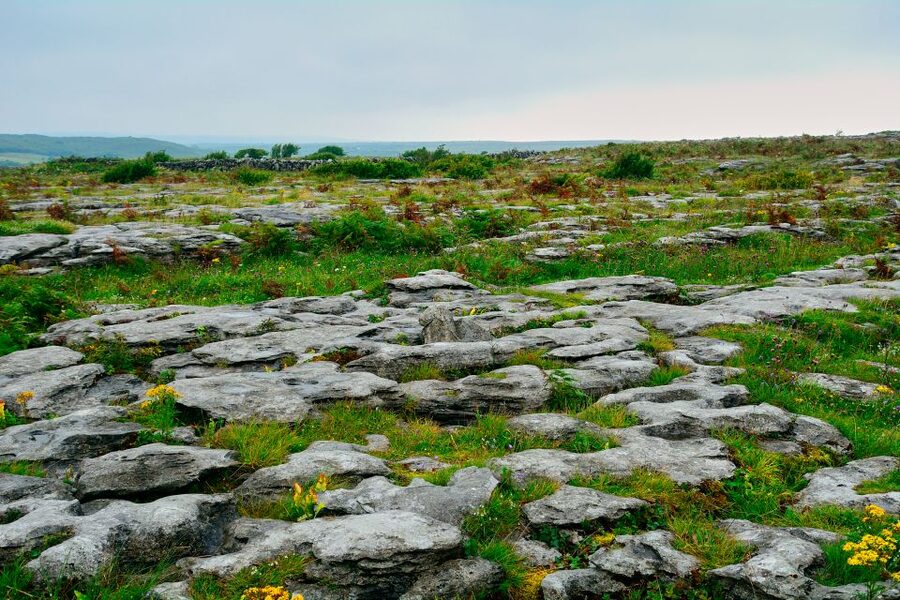 Cliffs of Moher and Blarney 2-Day Tour from Dublin - Bunratty Castle and the return to Dublin