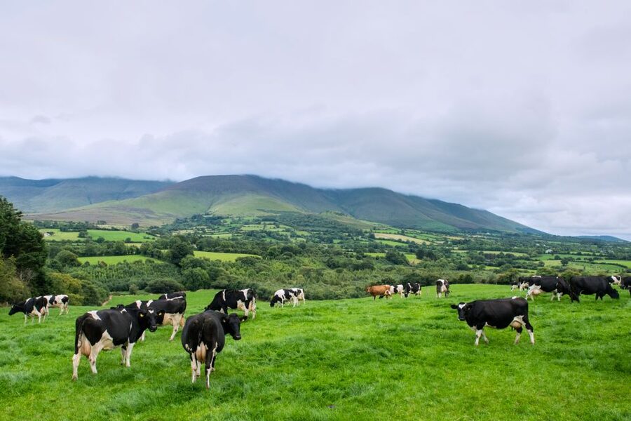 Cliffs of Moher and Blarney 2-Day Tour from Dublin - Why this two-day route works from Dublin