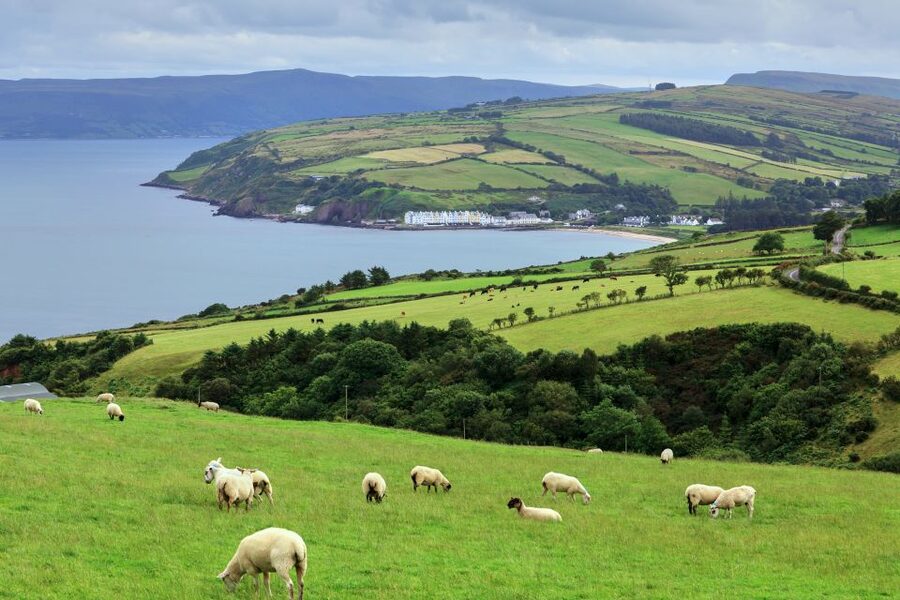 Cliffs of Moher and Blarney 2-Day Tour from Dublin - Blarney Castle and the choice to kiss the stone