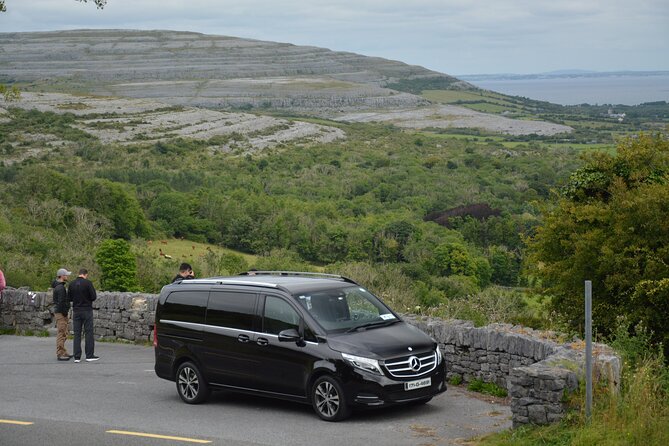Cliffs of Moher and Burren Private Tour from Galway - The Burren is more than scenery from the window