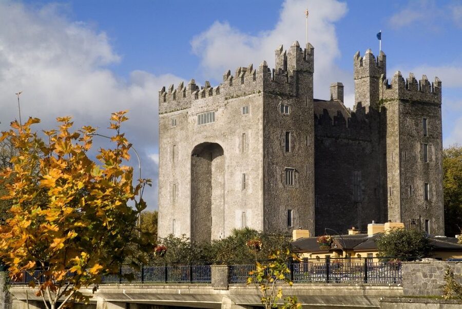 Cliffs of Moher and More: Full-Day Tour from Cork - Key points to know before booking