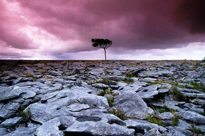 Cliffs of Moher, Aran Island & Burren tour from Galway. Guided. - Inisheer: two hours on the smallest Aran Island