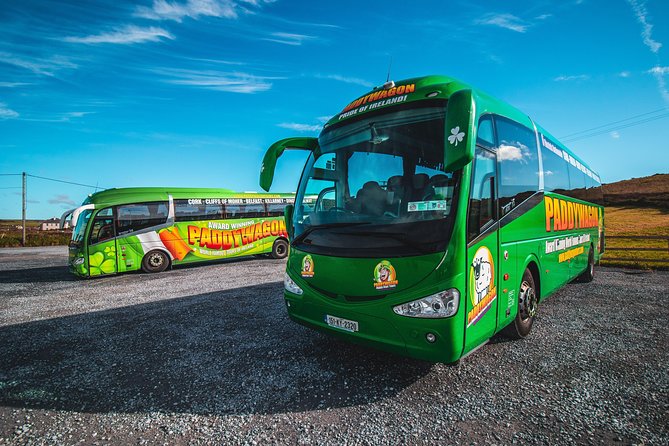 Cliffs of Moher Day Tour from Limerick: Wild Atlantic Way - Ninety minutes at the Cliffs of Moher