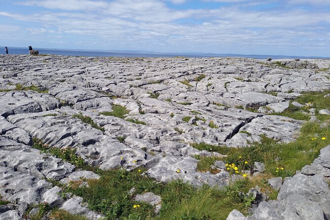 Cliffs of Moher & Sheepdog Demonstrations from Galway - Doolin Makes a Sensible Midday Pause