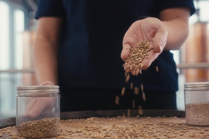 Clonakilty Distillery: Tour & Classic Whiskey Tasting - Starting at the Visitor Experience and Gift Shop