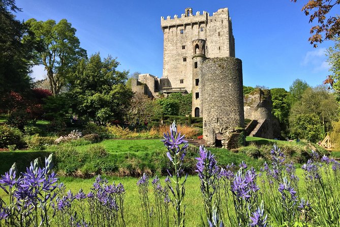 Cobh (Cork) to Blarney Castle & Kinsale - Shore Excursion - What the eight-hour schedule really feels like