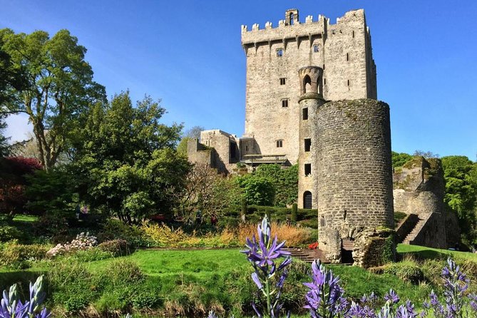 Cobh (Cork) to Blarney Castle & Kinsale - Shore Excursion - Is $95.53 a fair price?
