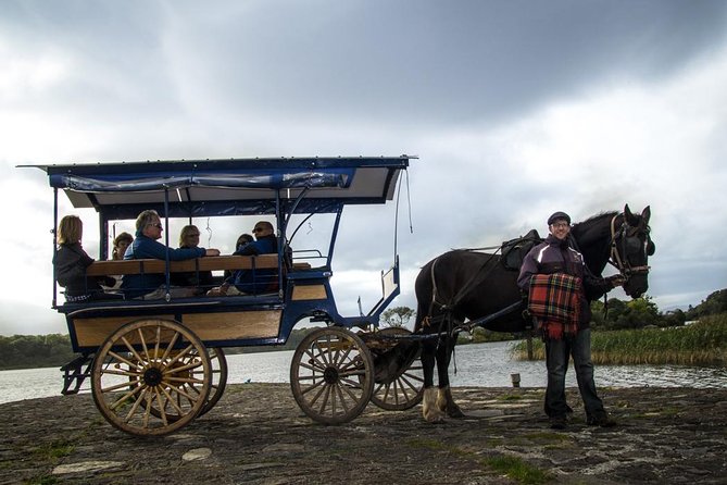 Combination Killarney Jaunting Car Tour and Lakes of Killarney Cruise - Is $84.48 good value?