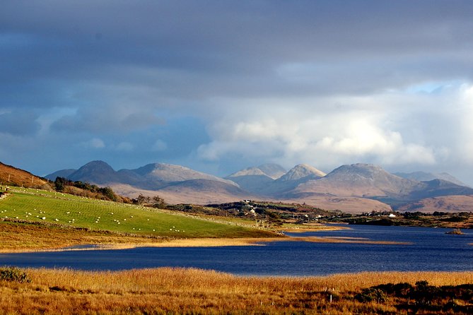 Connemara & Connemara National Park day tour from Galway. Guided. - Leaving Galway for the Connemara wilds