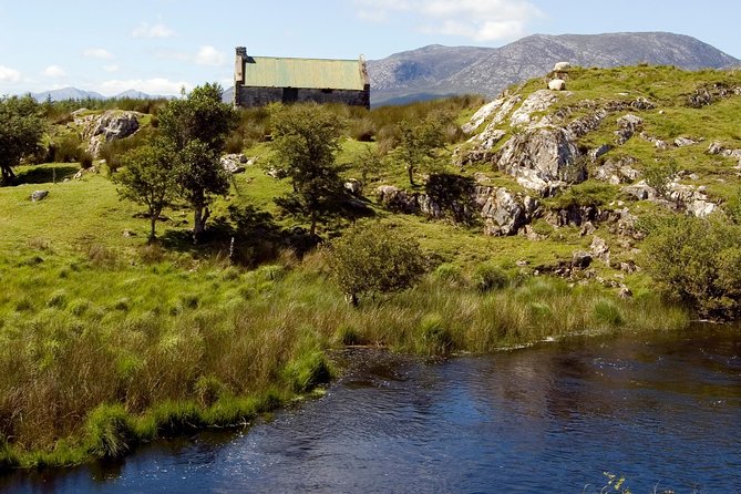 Connemara & Connemara National Park day tour from Galway. Guided. - The Connemara Giant at Recess
