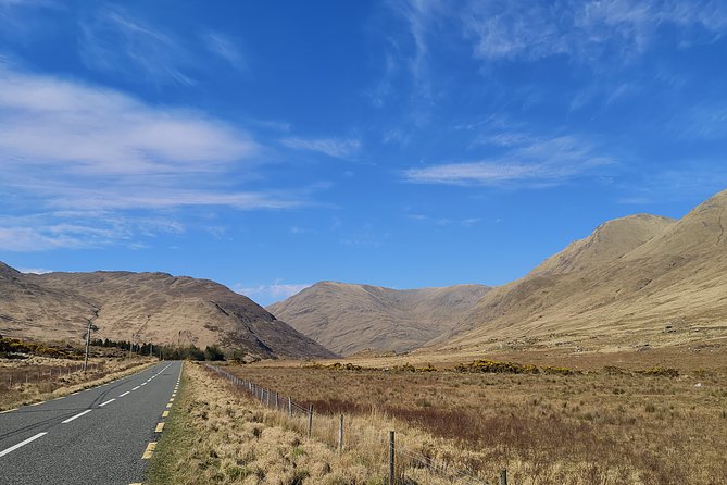 Connemara, Kylemore Abbey and Doolough Valley Full Day Private Tour from Galway - Dogs Bay and Roundstone