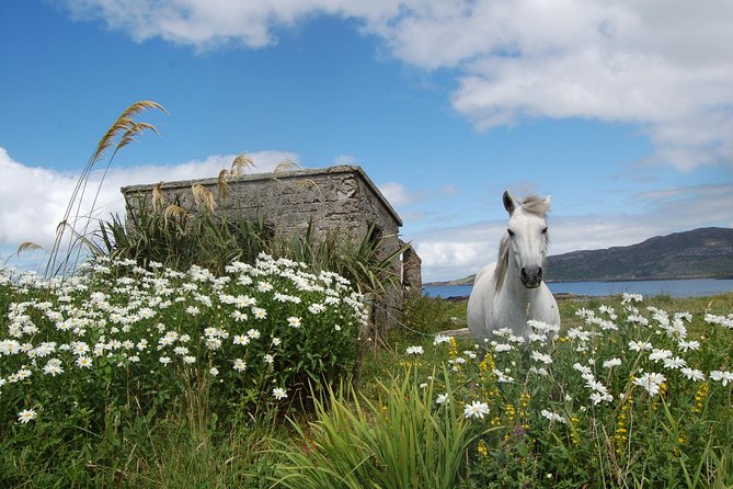 Connemara, Kylemore Abbey and Wild Atlantic Way tour from Galway - Leaving Galway for Connemara at 9:30