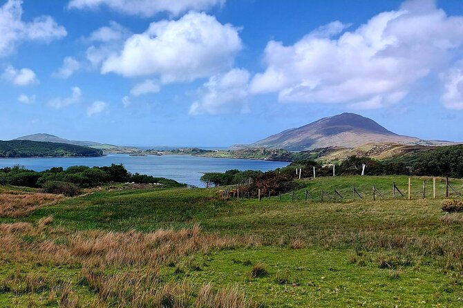 Connemara Sheep Farm experience & Kylemore Abbey by Lux Limousine - Meals, timing, and the value of flexibility
