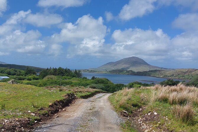 Connemara Sheep Farm experience & Kylemore Abbey by Lux Limousine - Lough Inagh Valley and the Twelve Bens