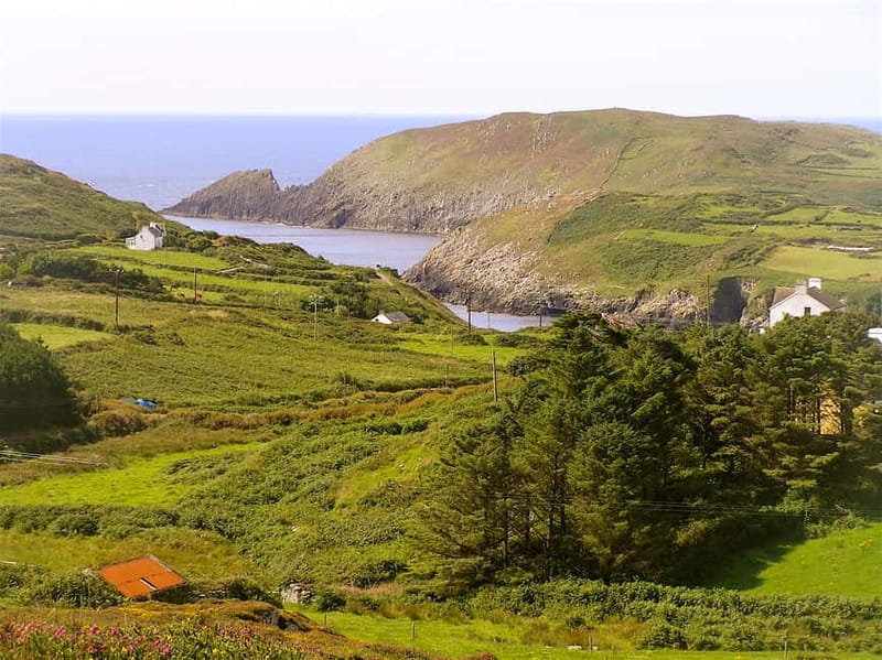 Cork: Fastnet Rock Lighthouse and Cape Clear Island Tour - Cape Clear Island and its old traditions