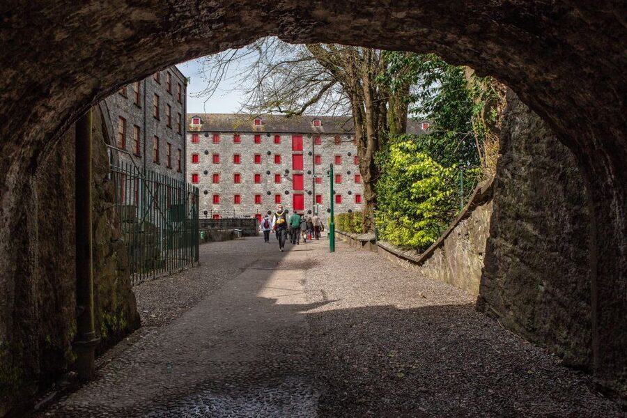 Cork: Jameson Irish Whiskey & Midleton Distillery Experience - The opening film sets the scene