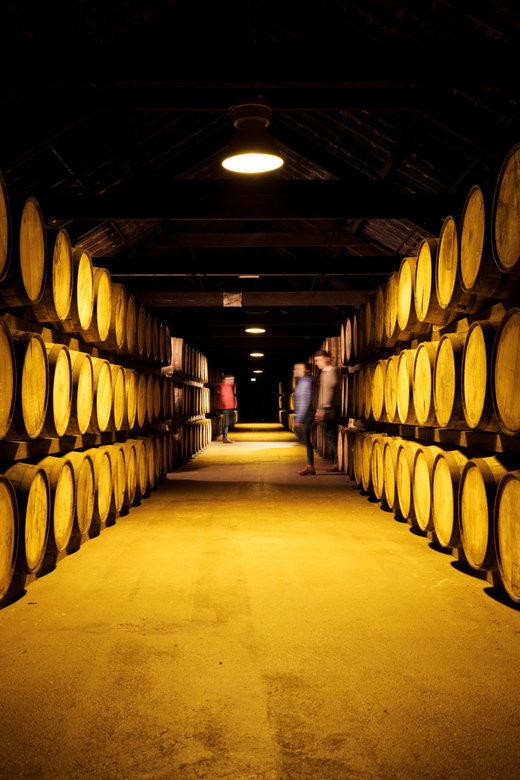Cork: Midleton Distillery Behind the Scenes Tour & Tasting - The Cooperage and the Work Behind the Barrel