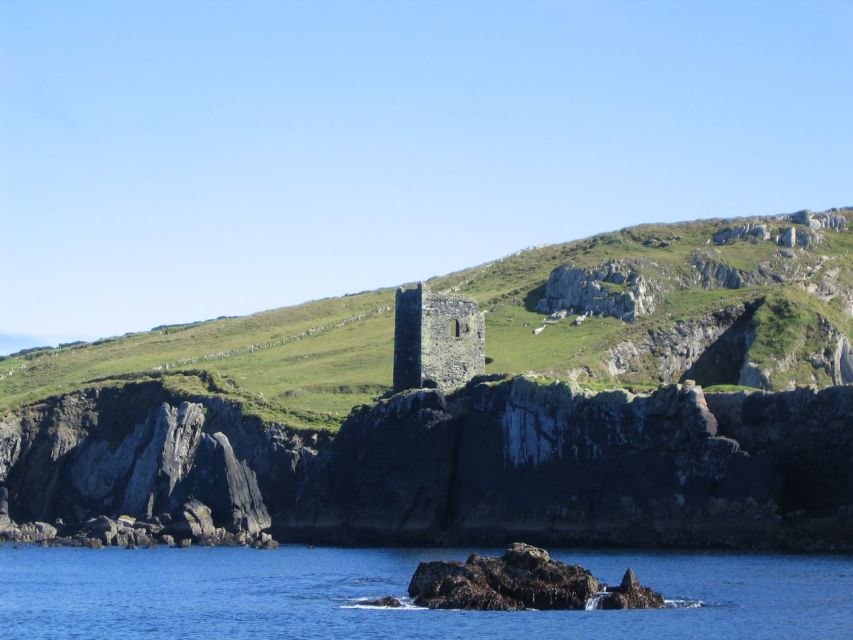 County Cork: Whale & Dolphin Watching Boat Trip - Key points at a glance