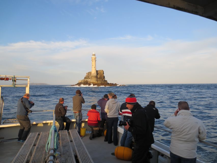 County Cork: Whale & Dolphin Watching Boat Trip - Who should book this Baltimore boat trip?