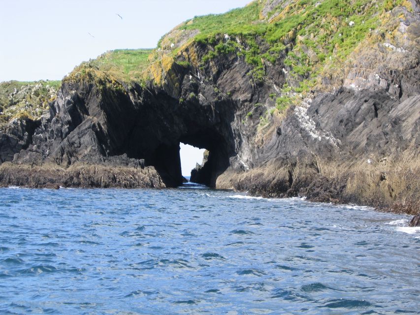 County Cork: Whale & Dolphin Watching Boat Trip - Gerry’s role makes a real difference