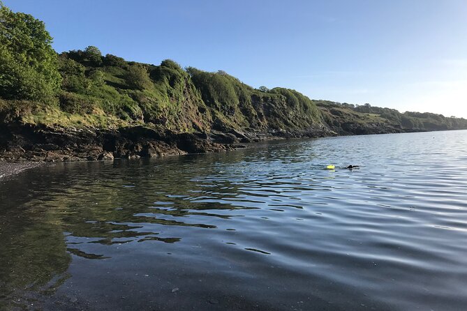 Dawn Pilgrimage and Swim in West Cork - The guides are a big part of the value