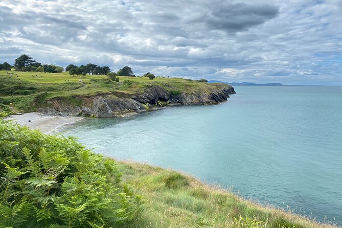 Day Tour from Dublin to Wicklow: Cliffs, Heritage, Wildlife, Gaol - What makes this Wicklow trip different