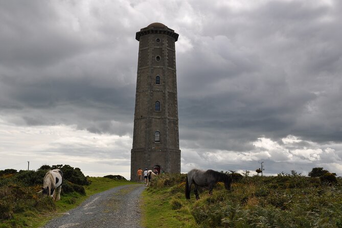Day Tour from Dublin to Wicklow: Cliffs, Heritage, Wildlife, Gaol - Three lighthouses on Wicklow Head
