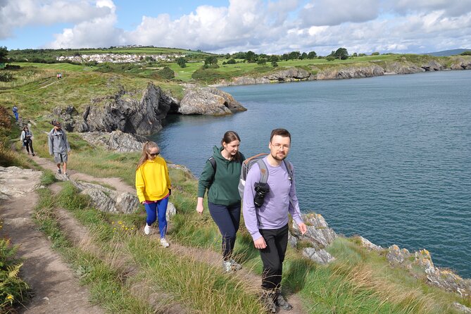 Day Tour from Dublin to Wicklow: Cliffs, Heritage, Wildlife, Gaol - The picnic after the coastal walk