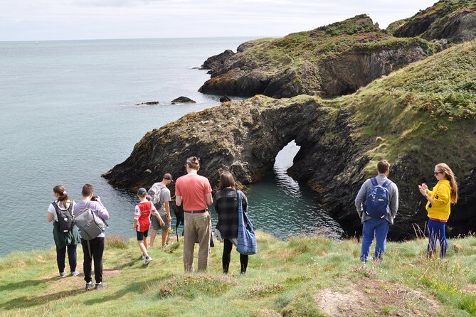 Day Tour from Dublin to Wicklow: Cliffs, Heritage, Wildlife, Gaol - Wicklow Town: Vikings, saints, and Norman power