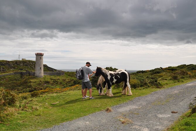Day Tour from Dublin to Wicklow: Cliffs, Heritage, Wildlife, Gaol - Why the private format matters