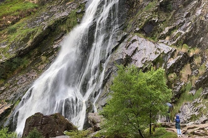 Day Tour from Dublin: Wicklow Mountains, Glendalough, Powerscourt - Timing, fitness, and what to bring