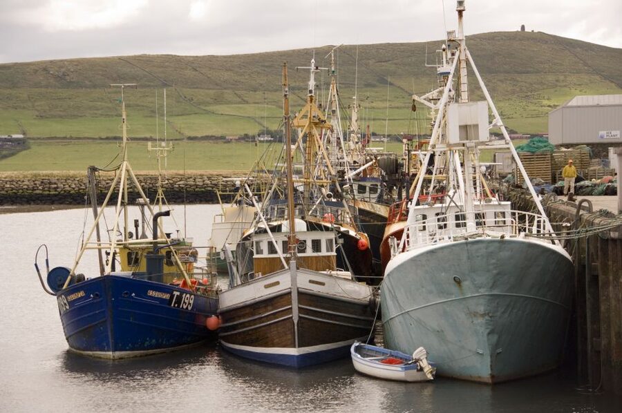 Dingle Day Tour from Limerick - What the $62 price really includes