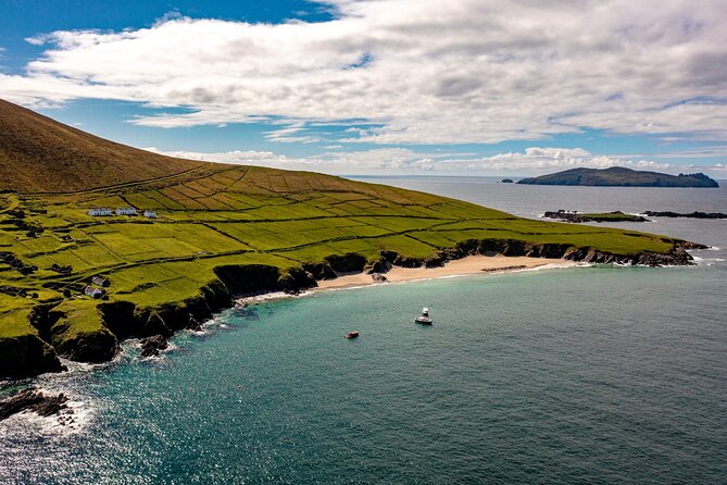 Dingle Dolphin Blasket Adventures - Key things to know before you go