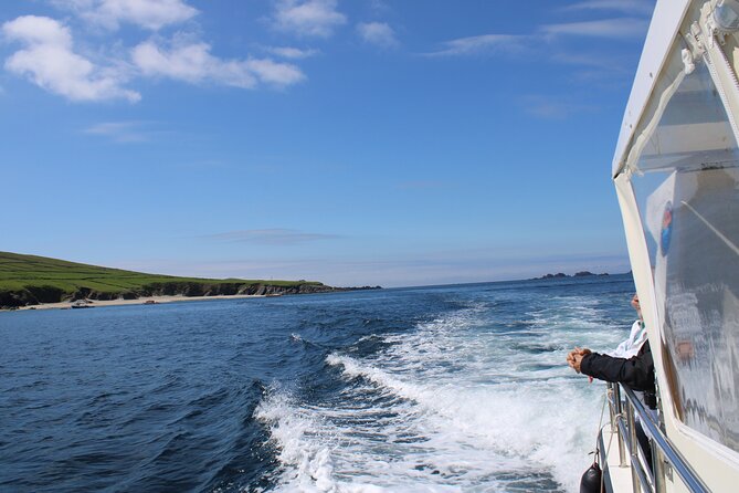 Dingle Dolphin Blasket Adventures - Searching for dolphins, whales, seals, and puffins