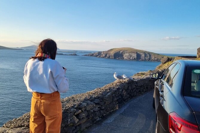 Dingle: Hour Slea Head Drive Tour 4hr - Personal Chauffeur Guide - Eask Tower and Burnham Headland: a quick start with big views