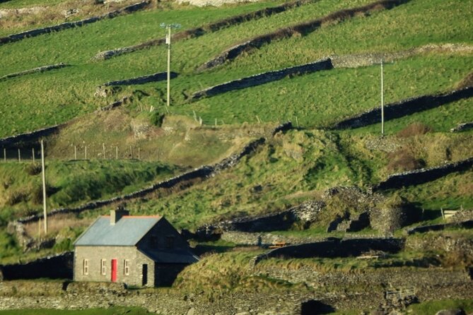 Dingle: Hour Slea Head Drive Tour 4hr - Personal Chauffeur Guide - Fahan Beehive Huts and the baby lamb moment