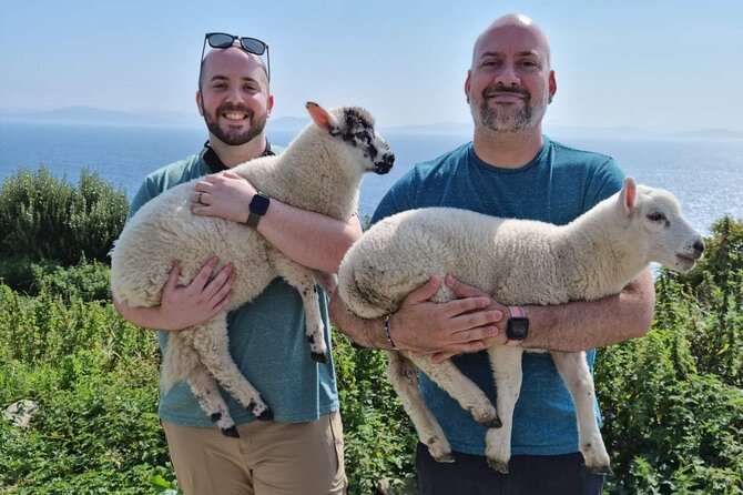 Dingle: Hour Slea Head Drive Tour 4hr - Personal Chauffeur Guide - Slea Head Point puts the Blasket Islands in view